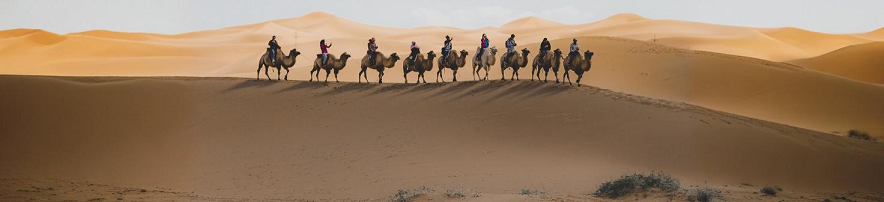 men on camel