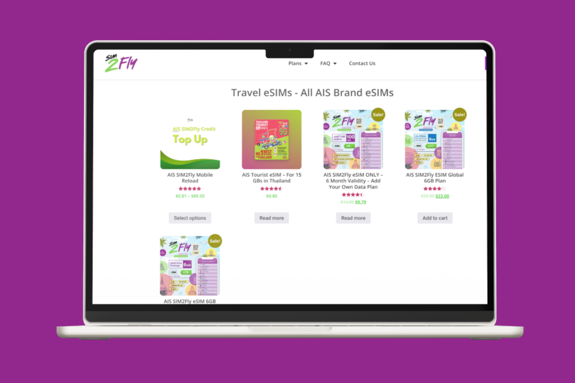 eSIM2Fly laptop screen