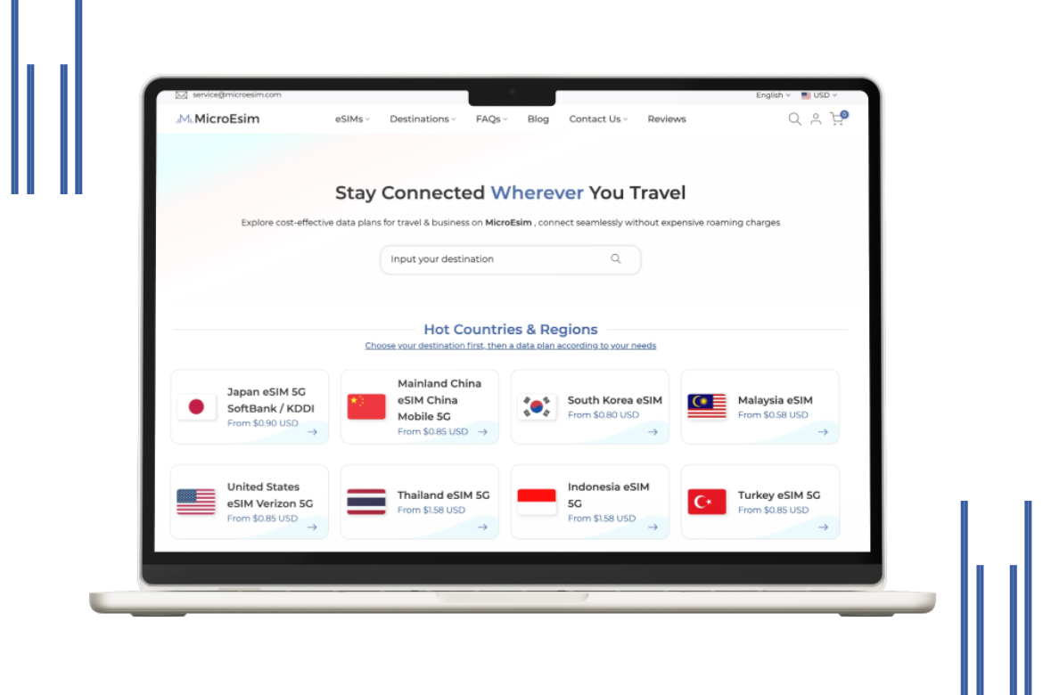 MicroEsim laptop screen